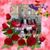 Fely T Huerta's profile image