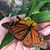 Niki Nislar Ratliff's profile image