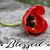 Jodi A Bunks's profile image