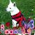 Christine Senchesen's profile image