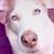 Evelyn Granados's profile image