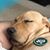 Jim VanHorn's profile image