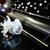 Krystyna Banach's profile image