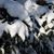 Joyce Van Aken Cawthon's profile image