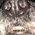 Branden Rush's profile image