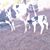 Juan Pavlo Lopez's profile image