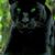 Regina Blevins Salzman's profile image