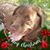 Michele Johnson's profile image