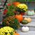 Karen Baglia's profile image