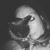 Audra Rochelle's profile image