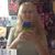 Kaleigh Bri Fields's profile image