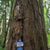 Sean Goodpasture's profile image