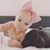 Tabitha Early's profile image