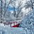 Susan Mosey Honeycutt's profile image