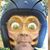 Stuart Lamberton's profile image