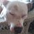 Trisha Czyson's profile image