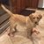 Lisa Miliman Diamond's profile image