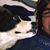 Julie Phillips-Mattison's profile image