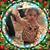 Amber Cummings's profile image