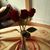 Juana Bucio's profile image