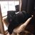 Christie Dallman's profile image