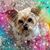 Linda Bailey's profile image