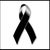 Pariente Cebollas's profile image