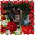 Ronni Mattern's profile image