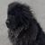 Ray Wickline's profile image