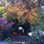 Janet Abadie Gonzalez's profile image