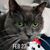 Darrel Humphrey's profile image