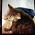 Dorothy Lynch's profile image