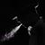 Siamand Esmaili's profile image