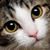 Sandra Gustafson's profile image
