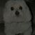 Misty Maynard's profile image