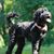 Marlene Cavanaugh Hayes's profile image