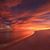 Shelly Keeler's profile image