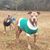 Casey Billeter's profile image