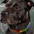 Carol Orr's profile image