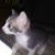 Brenda L. Burks's profile image