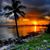 Dawn Delisle's profile image