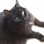 Kathleen Hilker-Lawlor's profile image