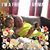 Sharon K. Grow's profile image