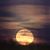 Laura Hicks Cruse's profile image