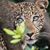 Barbara Bernhardy-Fortney's profile image