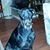 Dorothy Dias Jones's profile image