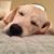Christy Aston Tipping's profile image