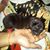 Rinku Ben Ahir's profile image