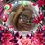 Tricey Ushery's profile image