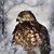 Scherie Platt Stilson's profile image